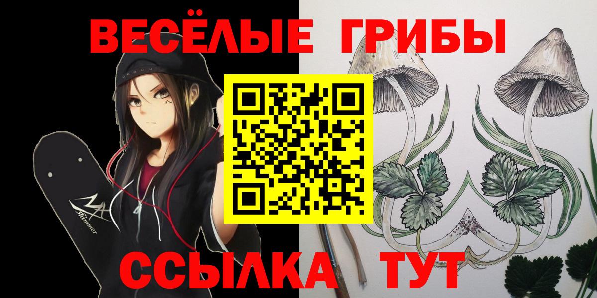 Галлюциногенные грибы Psilocybe  Вход с VPN  Псилоцибиновые грибы Psilocybine cubensis  Людиново 